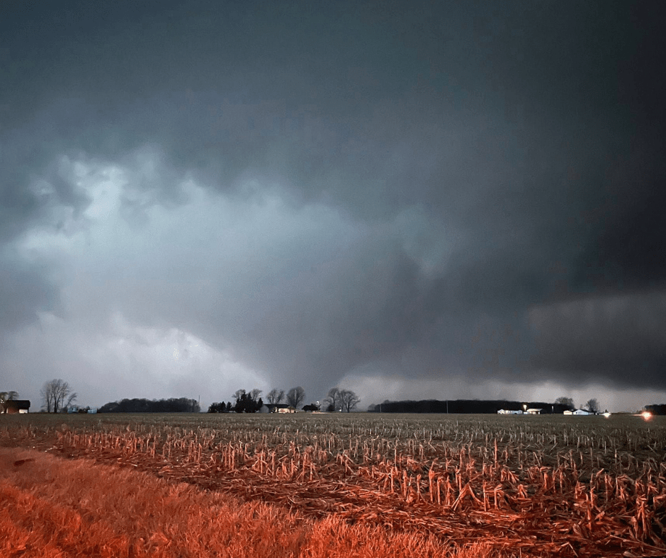 It Could Have Been&nbsp;Us